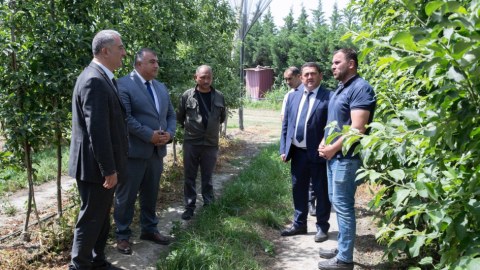 Nazir müavini Şabranda vətəndaşlarla görüşüb - Təsərrüfatlara baxış keçirib