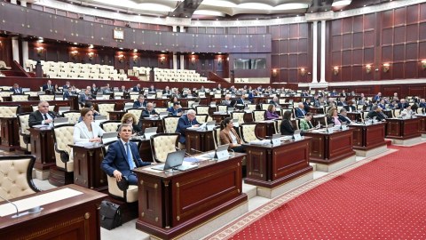 Deputatlar bu il neçə qanun qəbul edib?