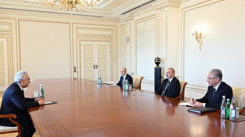 Prezident Beynəlxalq Enerji Agentliyinin icraçı direktorunu qəbul edib 