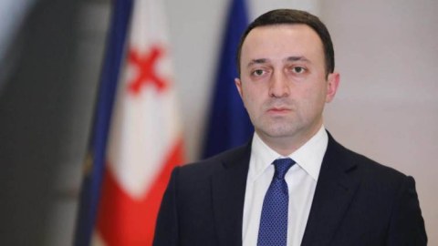Qərb tərəfdaşlarımızla fikir ayrılıqları var - Gürcüstanın eks-baş naziri