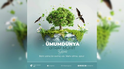 COP29-un Azərbaycanda keçirilməsi görülən işlərin ən yaxşı göstəricisidir - Ekspert