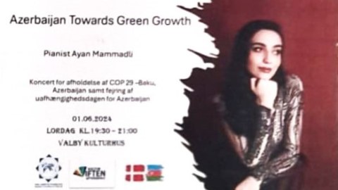 “Yurdumun gözəlliyi həzin musiqilərdə”