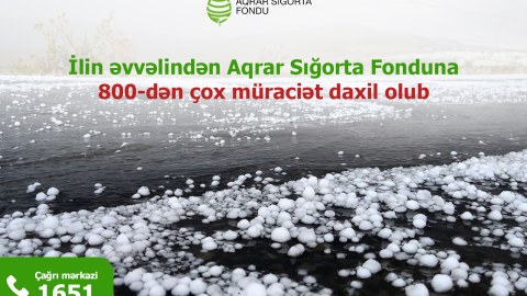 Hava ilə əlaqadar Aqrar Sığorta Fonduna 800-dən çox müraciət daxil olub
