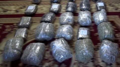 1 ayda 13 milyonluq narkotik dövriyyədən çıxarıldı 