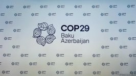 COP29-la bağlı birgə bəyanat yaydılar