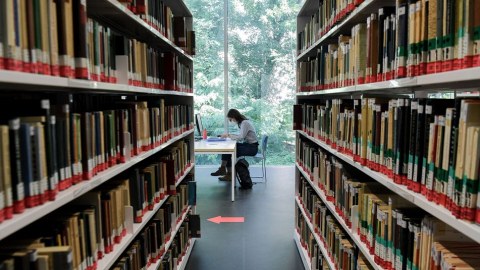 Abituriyentlərin nəzərinə! - Universitetlərdə ayrılan qəbul yerlərinin SAYI