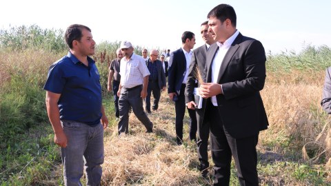 Neftçalanın icra başçısı taxıl biçini ilə tanış oldu - FOTOLAR