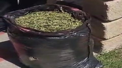 Keçmiş məhkumun evində 4 kq narkotik aşkarlandı