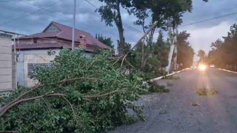 Güclü küləyin enerji təsərrüfatına vurduğu ziyan aradan qaldırılır