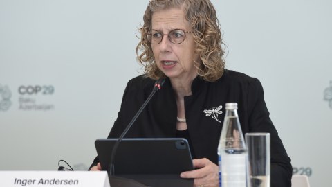 Azərbaycan böyük işlər görür - UNEP-in icraçı direktoru
