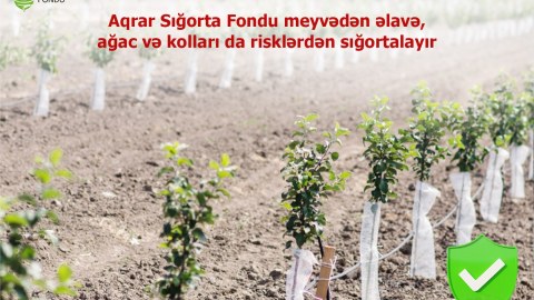 Aqrar Sığorta Fondu kolları da risklərdən sığortalayır 