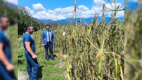 Aqrar Sığorta Fondunun rəhbəri Qaxda vətəndaşları qəbul edib 