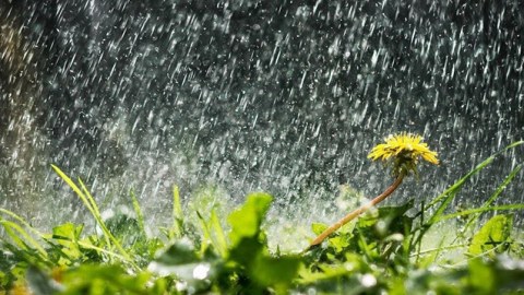 İyulun ilk gününün HAVA PROQNOZU
