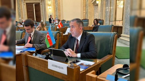 COP29-da 200-ə yaxın ölkə razılığa gəlməyə çalışacaq - Tahir Mirkişili