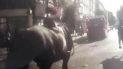 Hərbi atlar Londonda qalmaqala səbəb oldu 