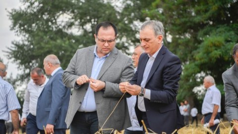 Nazir Xaçmazda taxıl biçini prosesini izləyib - FOTOLAR