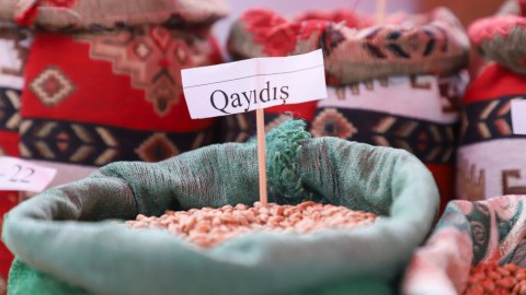 Gədəbəydə Aqrar Biznes Festivalı keçirilib - FOTO