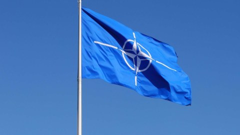 NATO büdcəsinə ən çox töhfə verən ölkələr