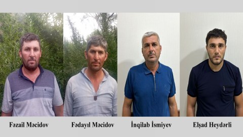Fermada çətənə kolları yetişdirən 4 nəfər saxlanıldı