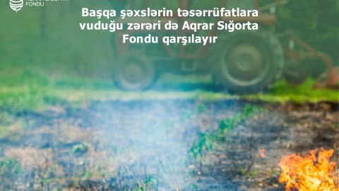 Üçüncü şəxslərin hərəkətlərindən dəyən zərərə görə sığorta müqaviləsi bağlayın!