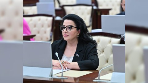 Ölkəmiz COP29-la bağlı qarşıya qoyduğu hədəflərə nail olacaq - Deputat