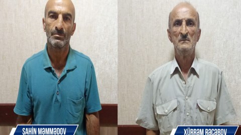 Çətənə kolu yetişdirən şəxslər saxlanıldı - FOTO