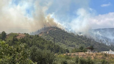 Türkiyənin iki vilayətində meşə yanır