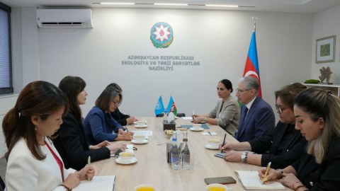 Muxtar Babayev BMT rəsmisi ilə COP29-a hazırlığı müzakirə edib