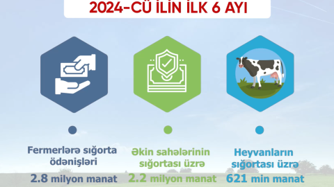 Fermerlərə sığorta ödənişləri 3 dəfə artıb