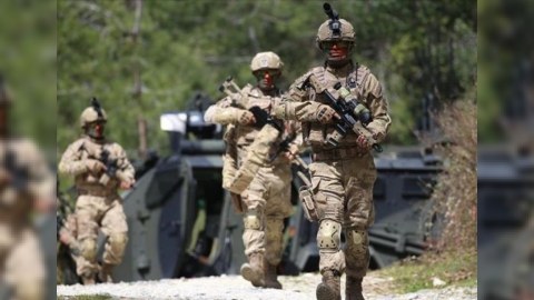 Türkiyə ordusu daha 12 terrorçunu zərərsizləşdirdi