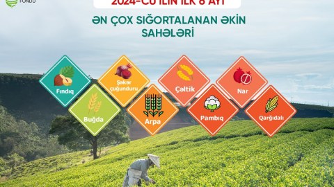 Azərbaycanda sığortalanan əkin sahələrinin həcmi artır