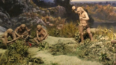 Alimlər qədim insanların yemək bişirmə üsullarını öyrəniblər