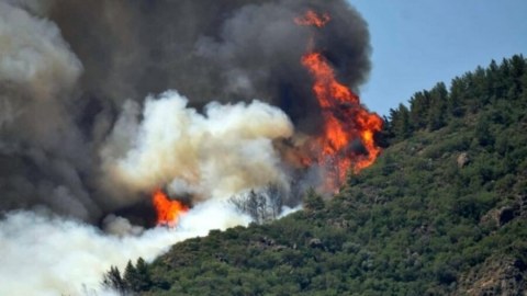 Rusiyada meşə YANIR