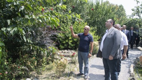 Nazir Şəkidə təsərrüfatlara baş çəkdi - FOTO