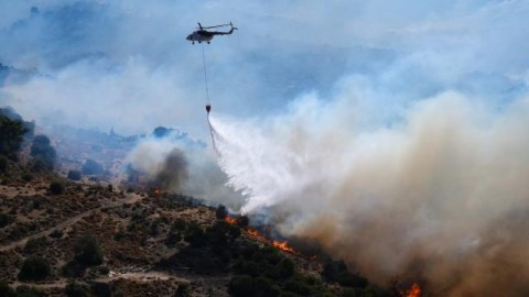 1 sutkada 47 meşə yanğını