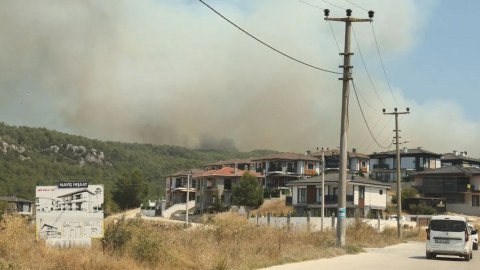 Türkiyədə daha iki meşə yanğını