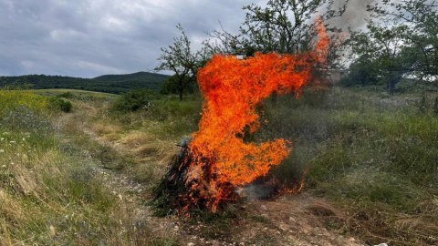 1 tondan artıq çətənə kolu yandırıldı