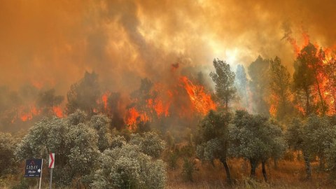 Türkiyədəki meşə yanğınları ilə bağlı 9 nəfər TUTULUB
