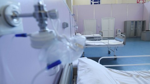 Azərbaycanda&nbsp;"Qərbi Nil" virusuna yoluxan var? - Rəsmi CAVAB