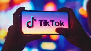 “TikTok"da gənclərə dövlət dili və atributları ilə bağlı təbliğatların aparılması təqdirəlayiqdir”