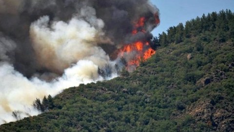 Ankarada meşə yanğınları - Kənd boşaldıldı