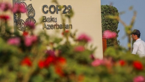 COP29 zamanı qlobal atəşkəs elan olunsun!