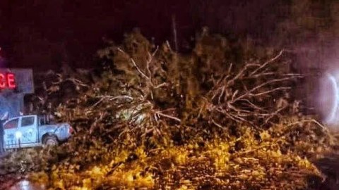Əlverişsiz hava şəraiti Gürcüstanda fəsadlar yaradıb