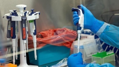 Meymunçiçəyinə qarşı mübarizə 135 milyon dollar tələb edir