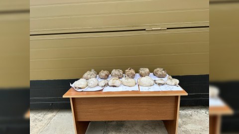 Ölkəyə 16 kiloqram narkotik gətirmək istədilər
