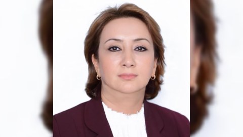 YAP siyasi proseslərin flaqmanıdır - Mehriban Vəliyeva