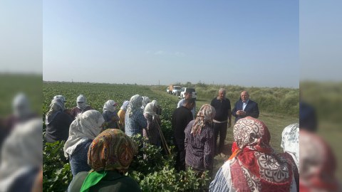 Əhliman Əmiraslanovun seçicilərlə növbəti görüşü keçirilib