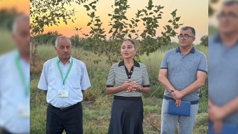 Əminə Ağazadə seçicilərin qayğıları ilə maraqlanıb - FOTO
