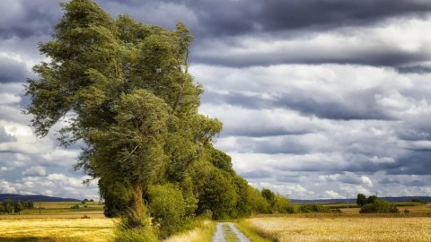 Bəzi bölgələrdə külək güclənib - FAKTİKİ HAVA