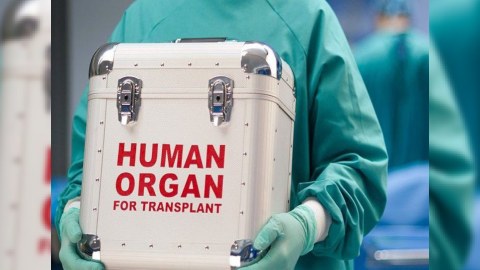 Azərbaycanda 600-ə yaxın şəxs donor gözləyir - Nazirlik